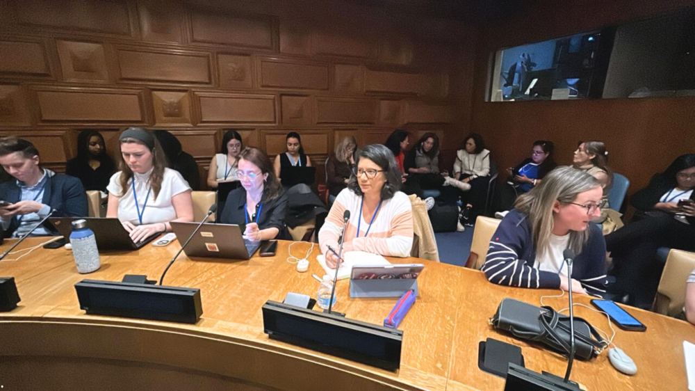 Governo Riedel leva Protege à ONU e vira exemplo global