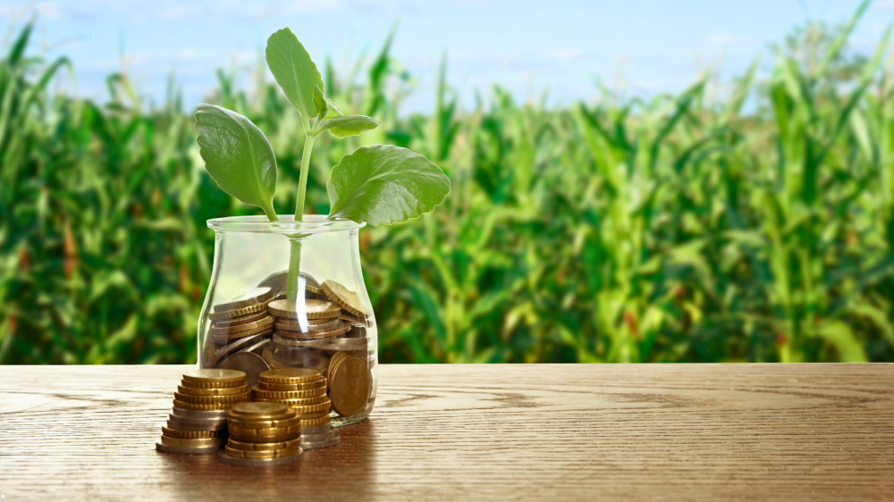 Expogrande 2026 recebe evento gratuito sobre reforma tributária no agro