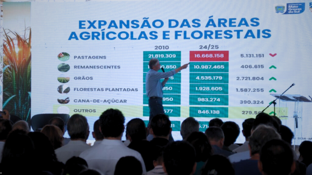 MS tem 1,9 milhão de hectares de florestas e mira novas culturas