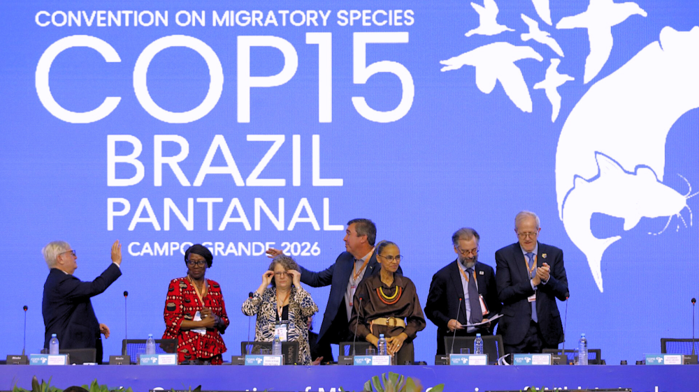 COP15 começa em Campo Grande com Pantanal no centro do debate global
