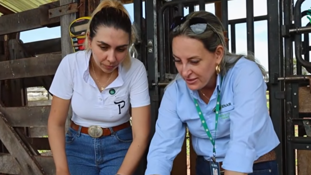 Pecuária regenerativa ganha força em Ribas com apoio do Senar/MS