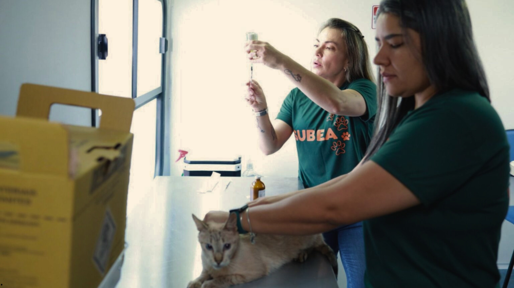 Subea inicia agenda de abril do consultório móvel veterinário em Campo Grande