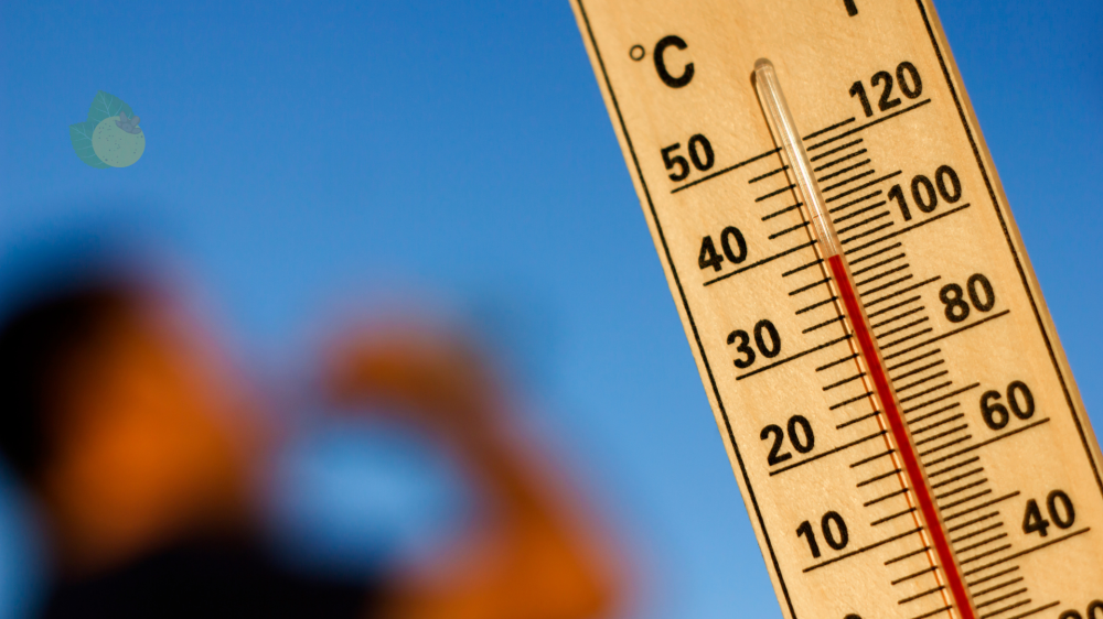 Mato Grosso do Sul enfrentará calor intenso e chuvas isoladas nos próximos dias