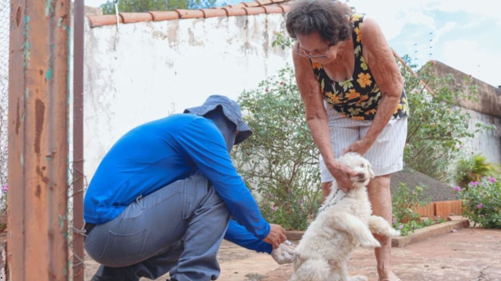 Vacinação antirrábica avança em bairros de Campo Grande
