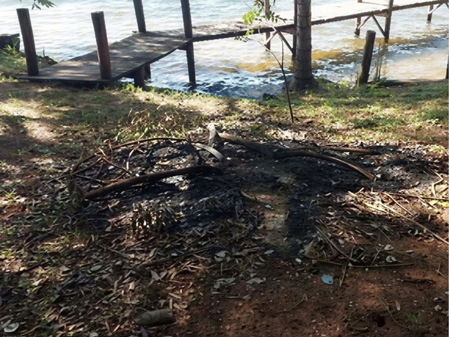 MPMS investiga dano ambiental por queimada ilegal no rio Sucuriú