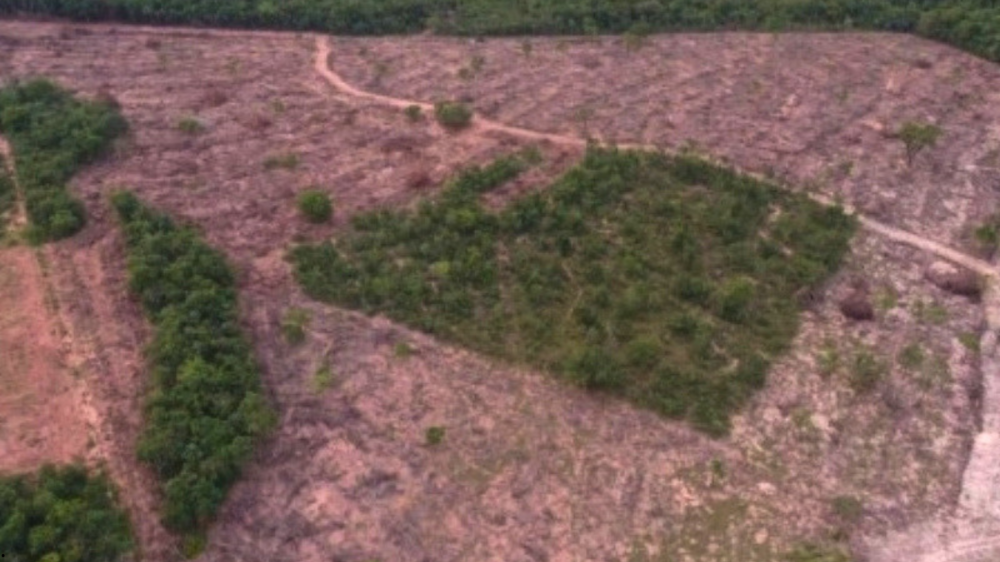 MPMS investiga desmatamento ilegal em assentamento de São Gabriel do Oeste