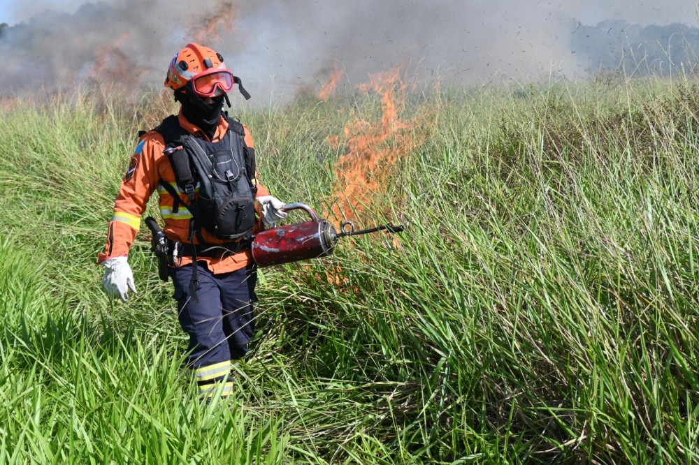 Mato Grosso do Sul adota queima controlada para prevenir incêndios em parques