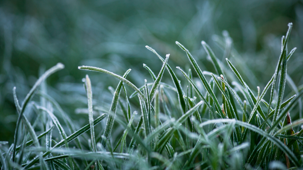 Mato Grosso do Sul registra mínima de 2°C com frio intenso