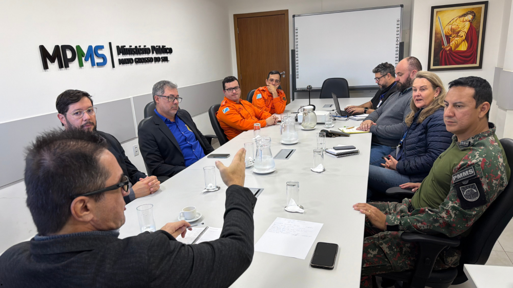 MPMS e órgãos ambientais traçam estratégia contra incêndios no Pantanal