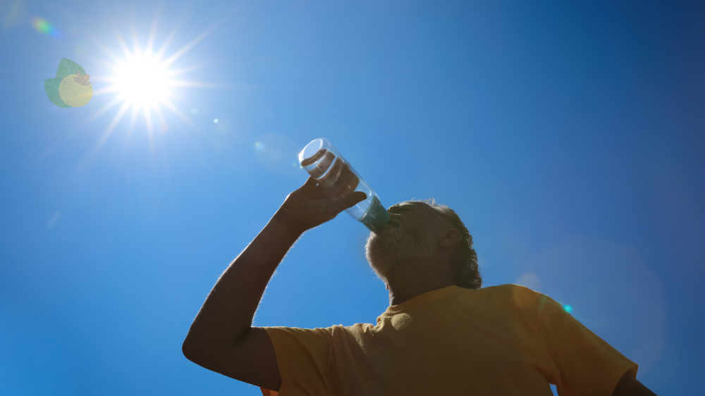 Mato Grosso do Sul inicia a semana com calor extremo e umidade em queda