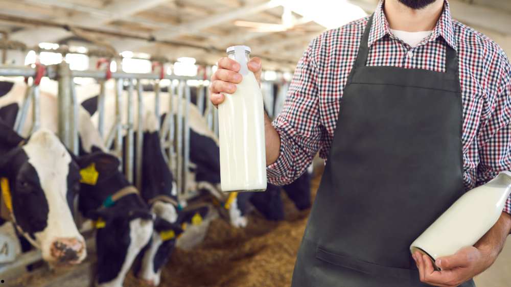 Novo programa de suplementação alimentar fortalece a cadeia leiteira em Campo Grande