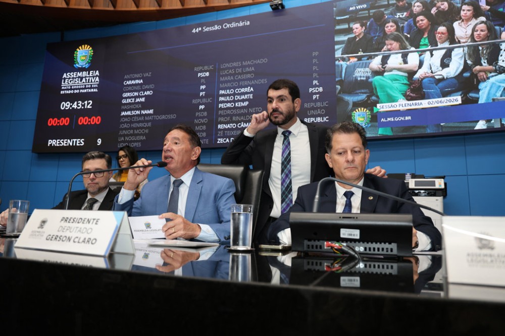 ALEMS avalia texto final de política para mães atípicas