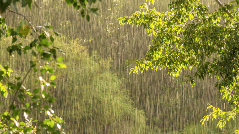 Altas temperaturas e risco de chuva predominam nesta quarta-feira em Mato Grosso do Sul