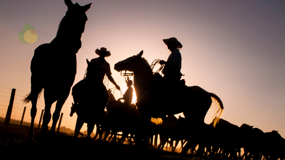 Pantanal e sustentabilidade: uma relação marcada por história e inspiração