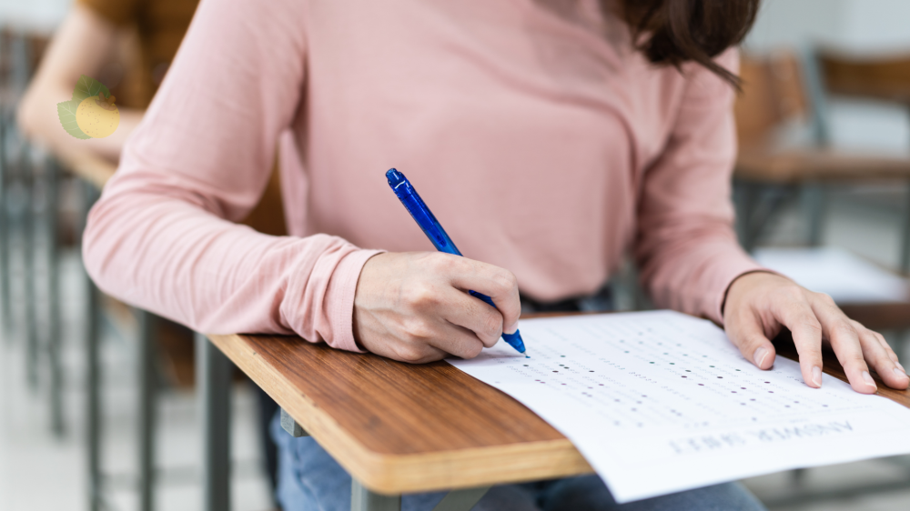 Concurso do TRT/MS acontece neste domingo, reunindo mais de 13 mil participantes