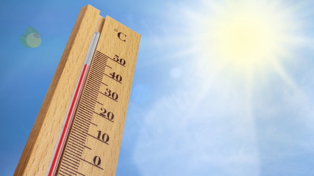 Previsão indica calor e variações no tempo nesta terça-feira em MS
