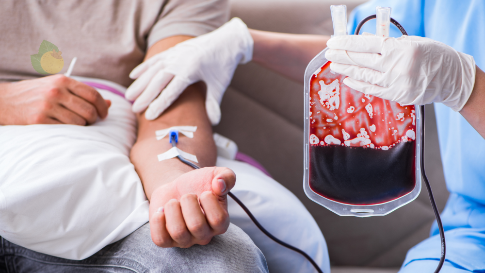 O processo de doação ao uso do sangue em MS mostra como cada gesto salva muitas vidas