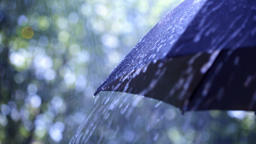 MS registra temperaturas elevadas e previsão de chuvas fortes