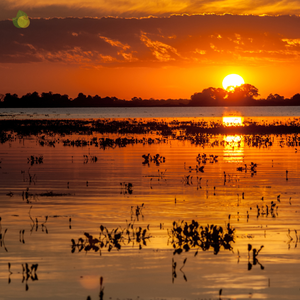 Domingo tem previsão de sol, com pancadas de chuvas em várias regiões do Estado