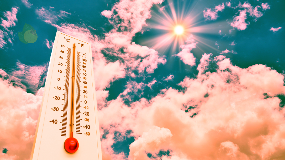 Sol e calor predominam no fim de semana em MS, com pancadas de chuva em pontos isolados
