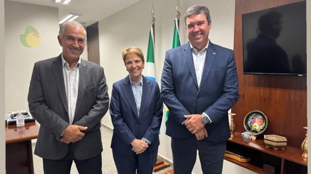 Eduardo Riedel fortalece parcerias em Brasília para atrair investimentos
