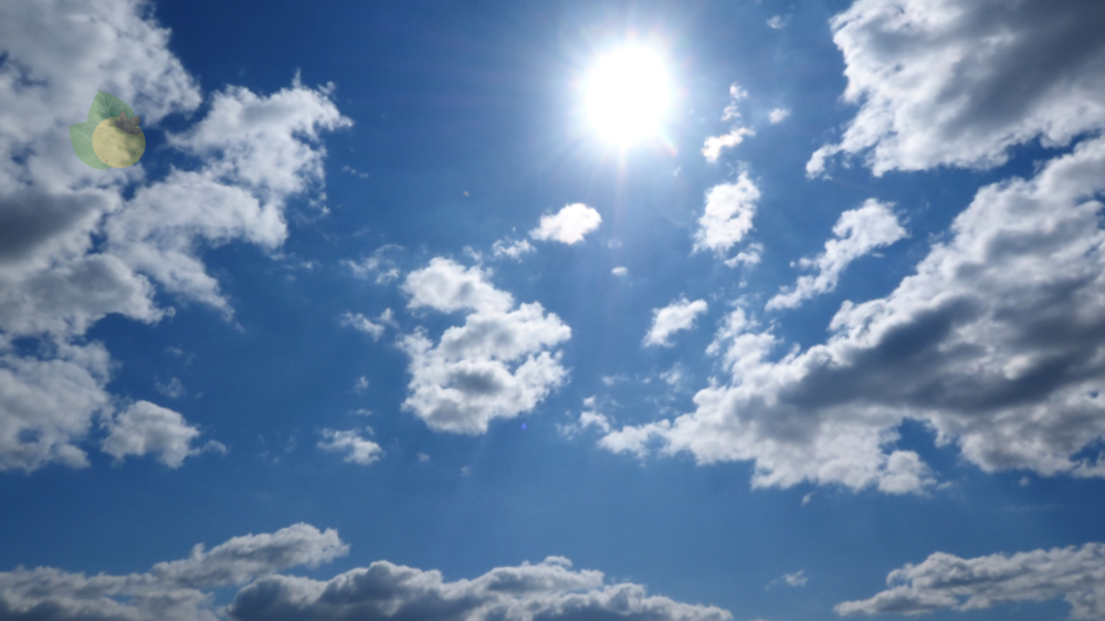 Previsão aponta calor forte e pancadas isoladas em MS neste fim de semana