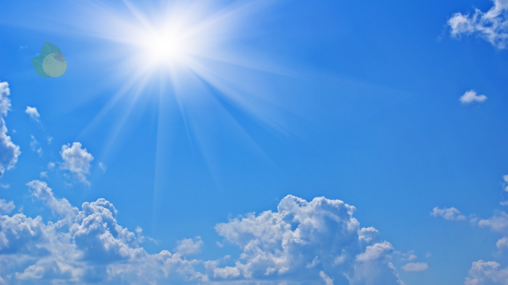 Sábado em MS terá calor extremo e risco de tempestades