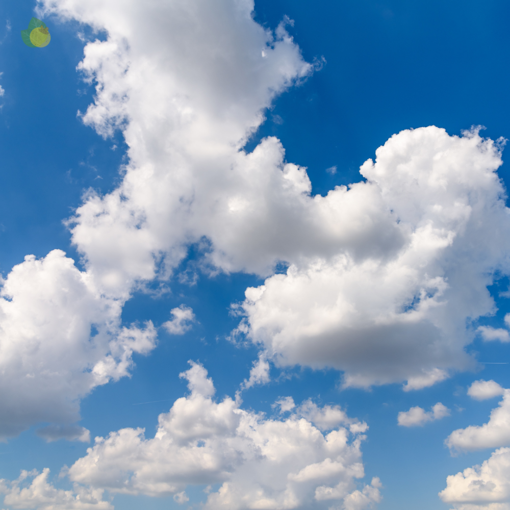 Campo Grande Registra Clima Nublado com Alta Umidade e Temperatura Amena