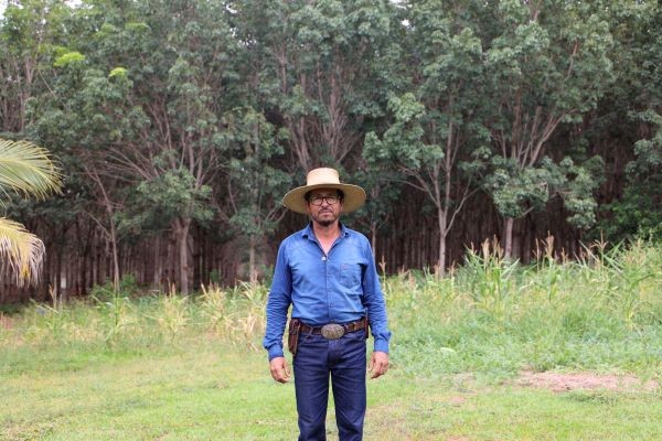 Extração sustentável de látex avança em Camapuã com apoio do Senar/MS