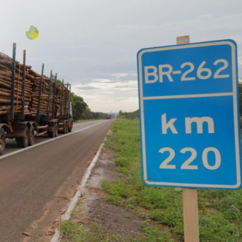Novos caminhos: em ritmo acelerado de crescimento, MS atrai cada vez mais trabalhadores de outras regiões do País