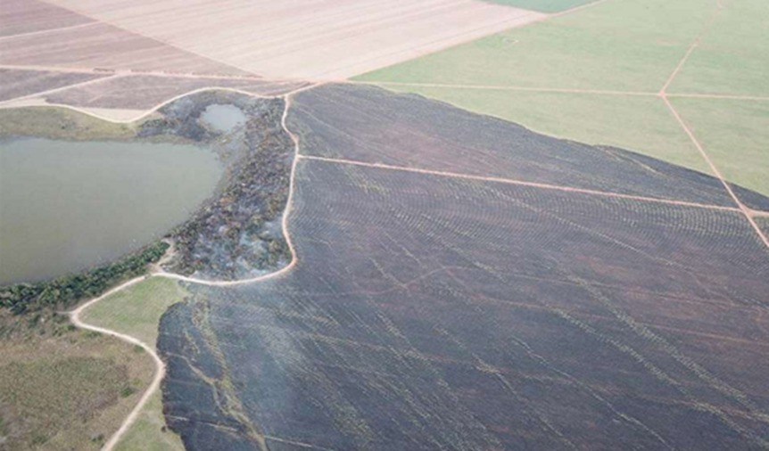 MPMS investiga incêndios em áreas de cultivo de cana-de-açúcar em Nova Andradina