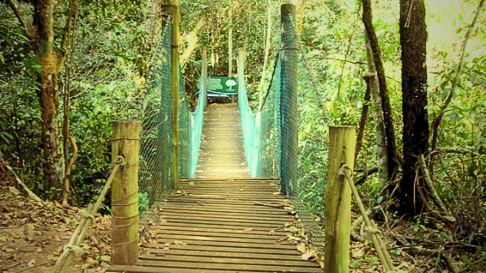 Expansão urbana no entorno do Parque do Prosa é tema de audiência na Câmara