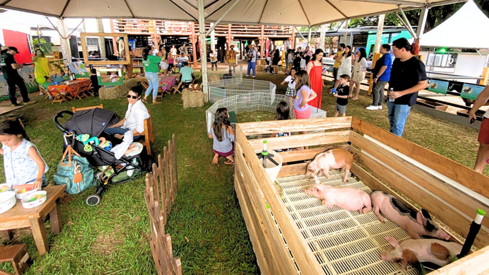 Fazendinha Acrissul encanta crianças com Cantinho do Agro e minianimais