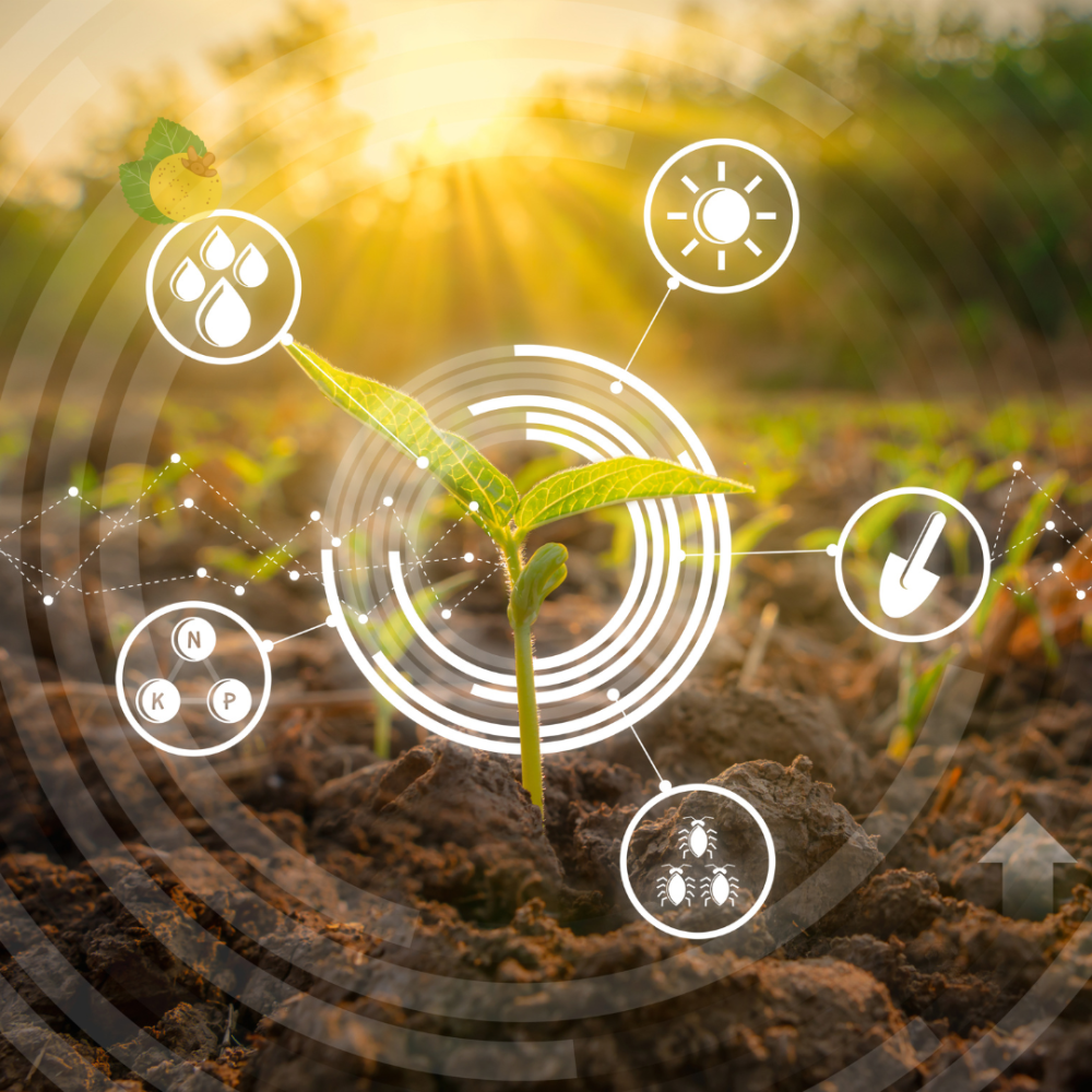 Do Solo ao Satélite: Por que a IoT no Agro deve crescer para US$ 18,1 bi até 2026