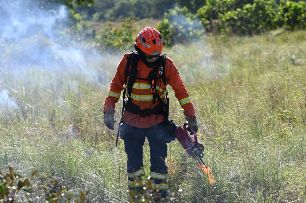 Governo Riedel promove queima preventiva inédita no Pantanal para evitar incêndios