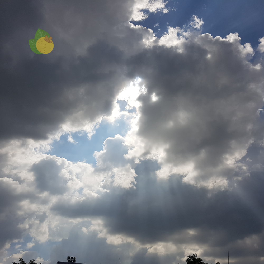 Previsão de chuva e aumento de temperaturas nesta quarta-feira em Mato Grosso do Sul