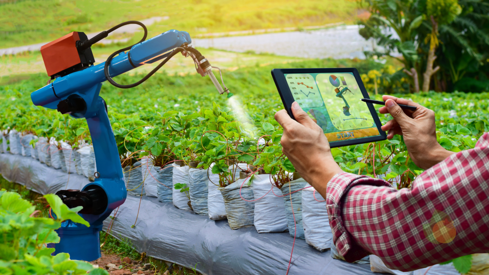 Inteligência Artificial impulsiona agricultura regenerativa e promete revolucionar o campo no Brasil