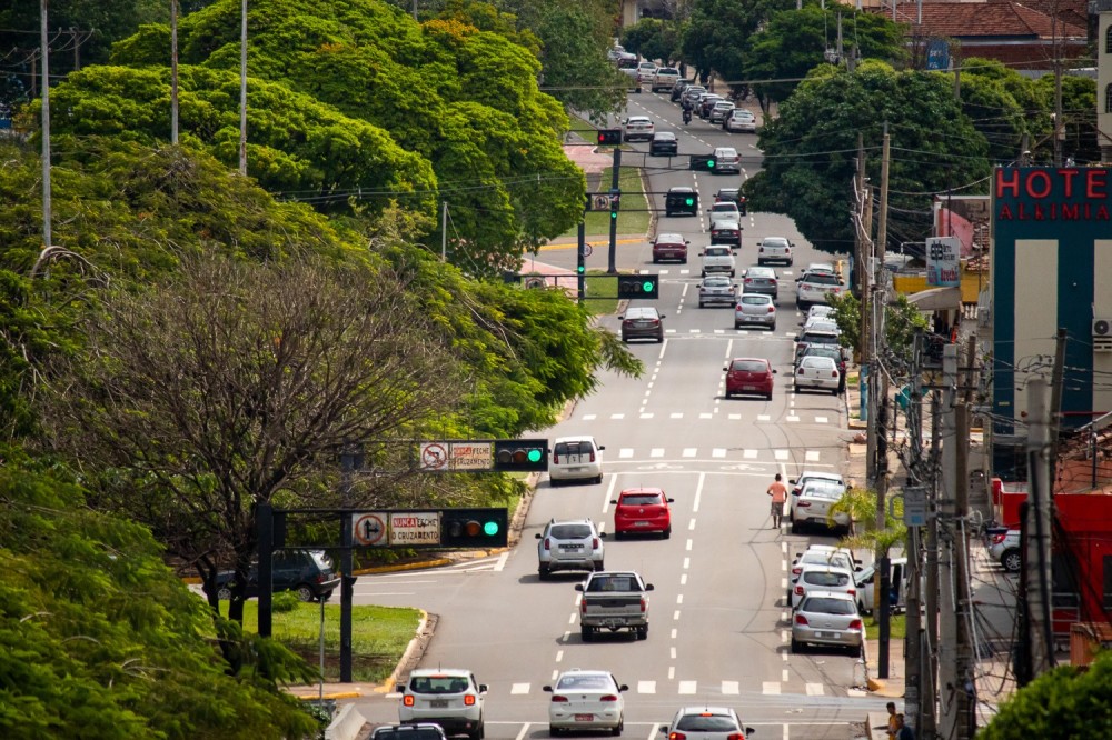 IBGE aponta Campo Grande como capital mais verde do Brasil com alta arborização