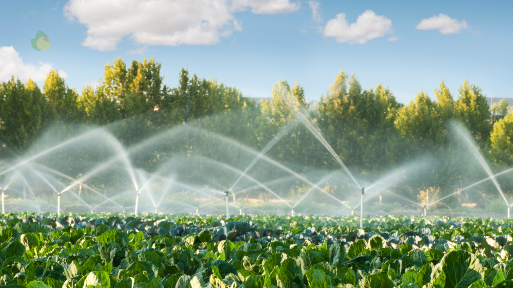 Financiamento no agronegócio brasileiro avança com novas fontes e foco em irrigação