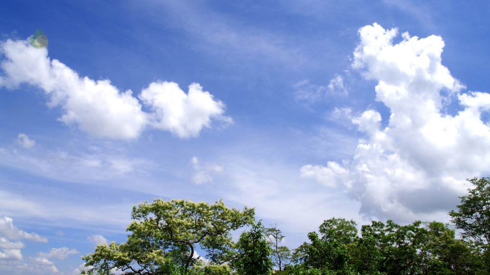 MS enfrenta dia de tempo instável com chuvas e variações de temperatura