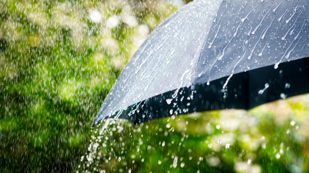 Mato Grosso do Sul terá chuvas intensas e tempestades nesta quinta-feira
