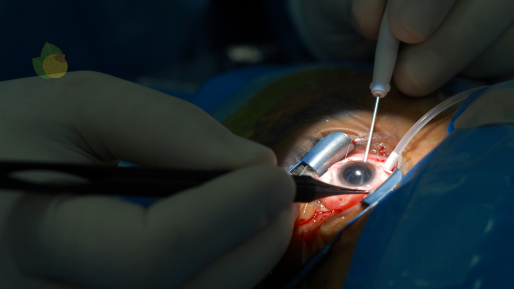 Nanopartículas de ouro: Brown avança em tratamento para doenças da retina
