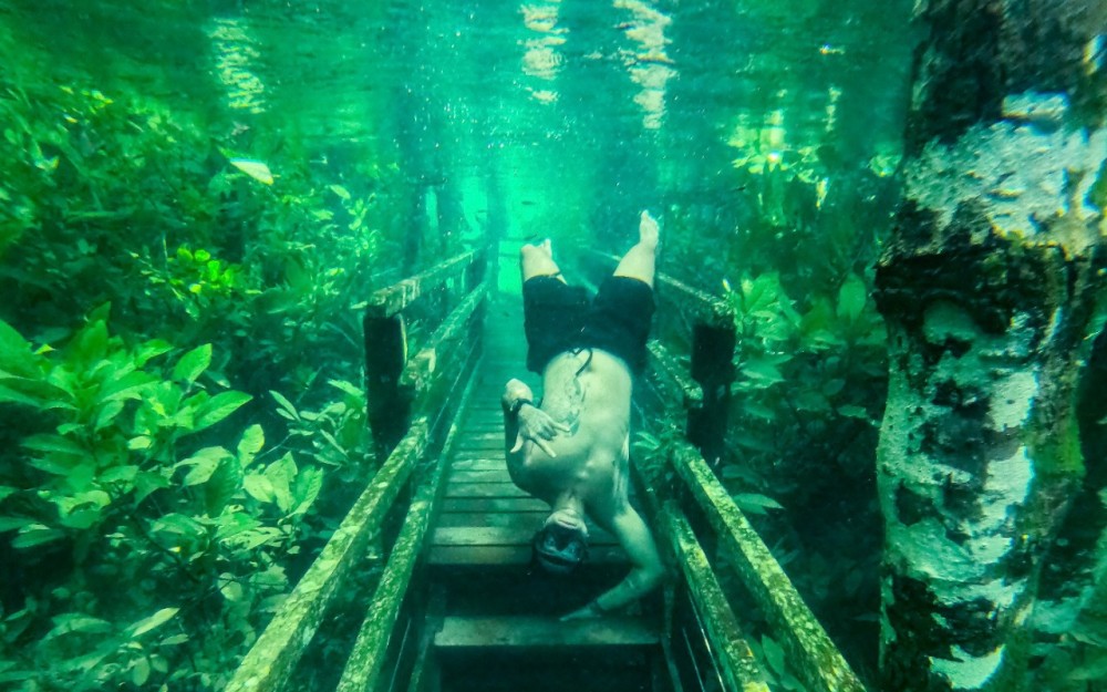 Trilha submersa: conservação do solo eleva qualidade da água em rios de jardim e bonito
