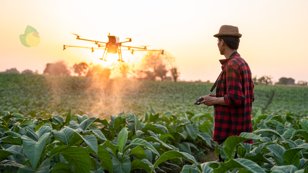 Drones no campo: Parceria entre CEA-IAC e Coopercitrus impulsiona tecnologia agrícola no Brasil