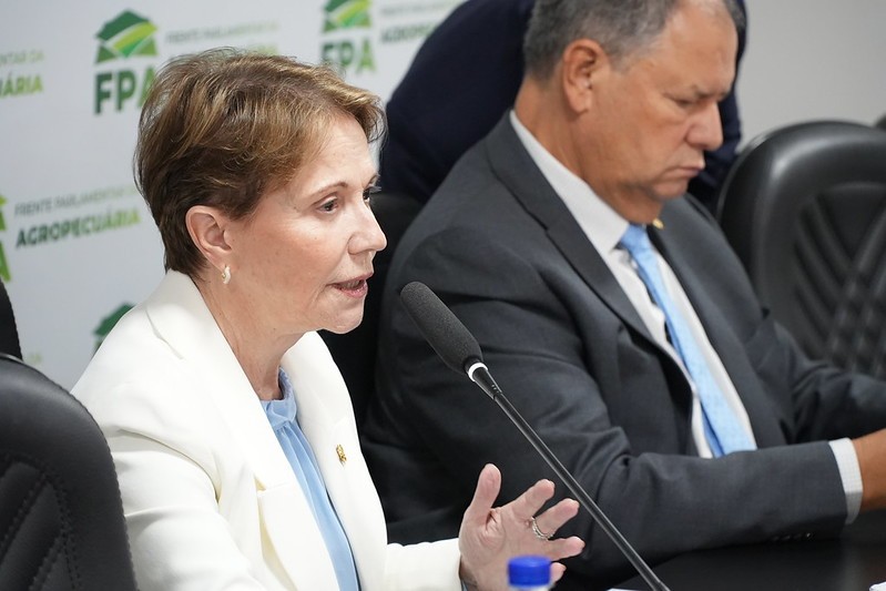 Tereza Cristina defende previsibilidade para o campo e aponta agro como ferramenta contra a inflação