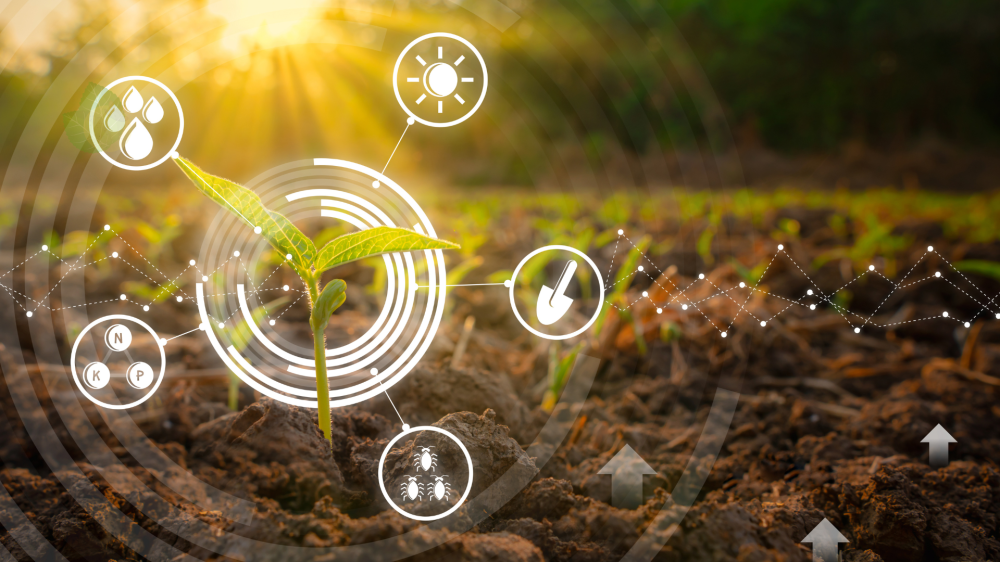 Agtechs impulsionam produtividade agrícola com uso de dados e previsões climáticas