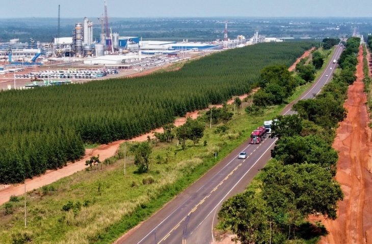 Governo Riedel realiza leilão da Rota da Celulose para esta quinta-feira