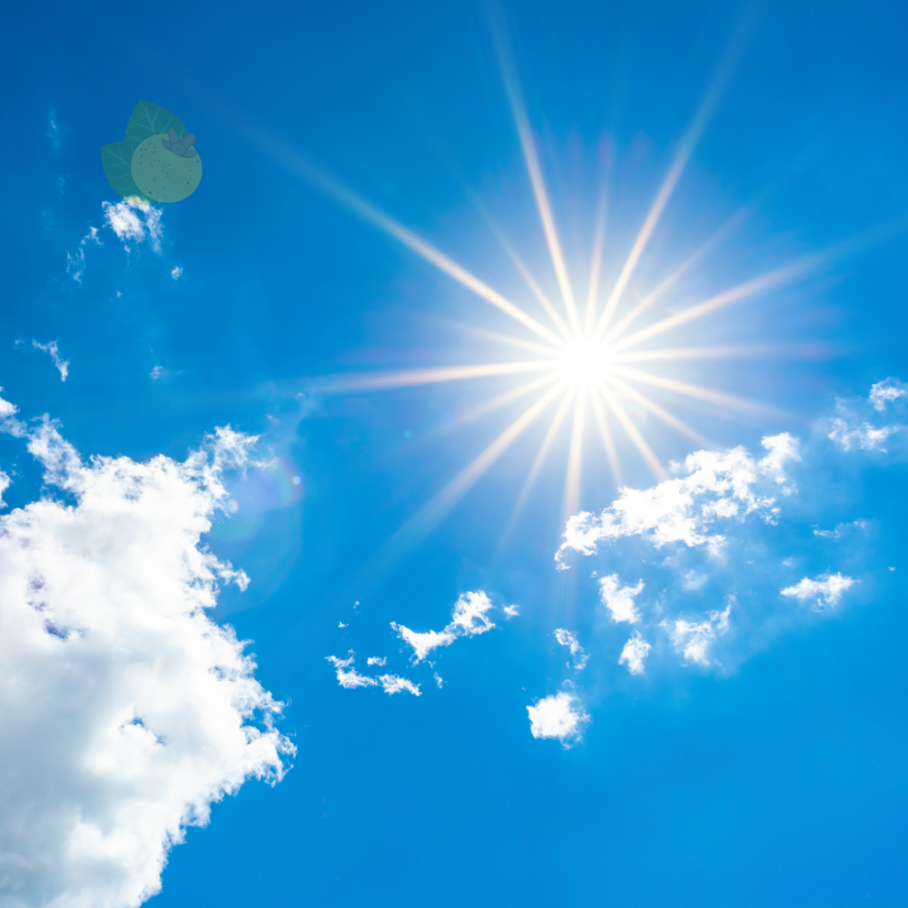 Previsão para Campo Grande e MS: Dia de calor e céu parcialmente nublado