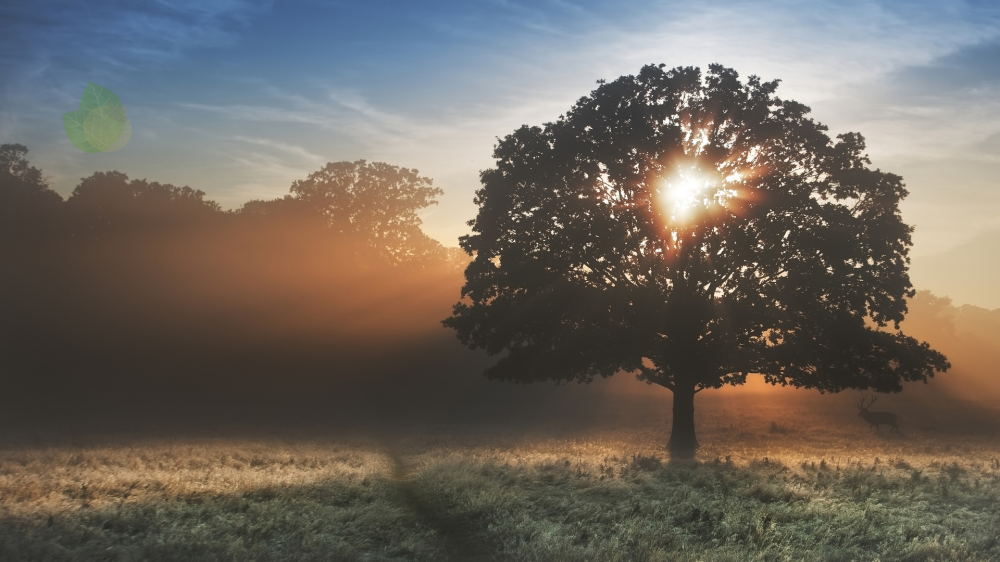 Ms mantém tempo estável e seco com sol predominante e temperaturas elevadas