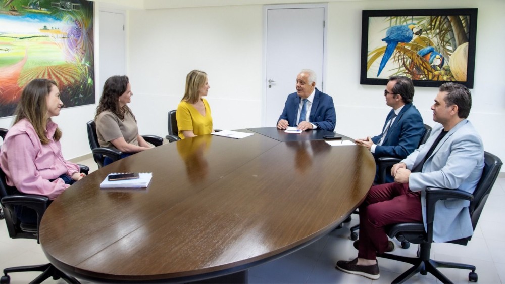 Presidente do TCE-MS e secretária especial do Governo alinham ações de cooperação técnica